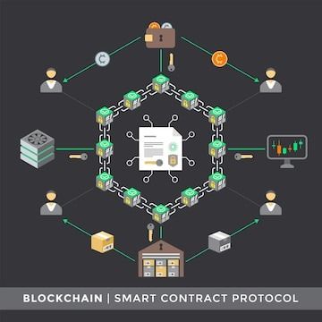 vector-smart-contract-protocol-a